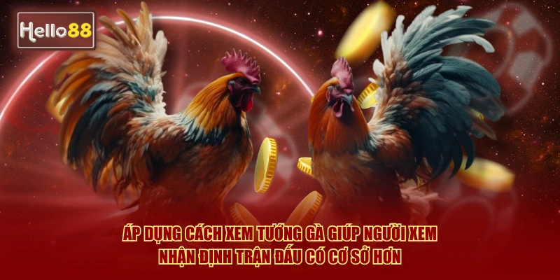 Cách Xem Tướng Gà Đá Hello88 Luôn Thắng Hay Nhất 2026 2 Áp dụng cách xem tướng gà giúp người xem nhận định trận đấu có cơ sở hơn