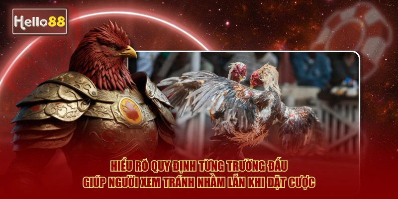 Đá Gà Hello88: Meron, Wala, BDD Là Gì - Giải Thích 2026 4 Hiểu rõ quy định từng trường đấu giúp người xem tránh nhầm lẫn khi đặt cược