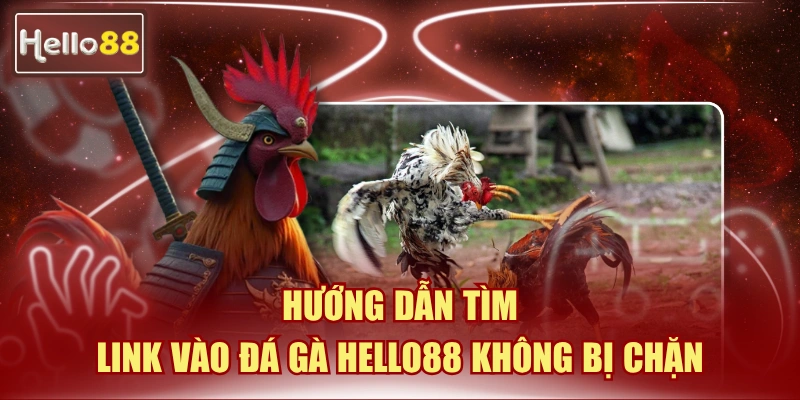 Link Vào Đá Gà Hello88 Không Bị Chặn - Cập Nhật 2026 1 link vào đá gà Hello88 không bị chặn