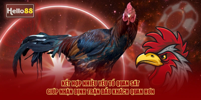 Cách Xem Tướng Gà Đá Hello88 Luôn Thắng Hay Nhất 2026 4 Kết hợp nhiều yếu tố quan sát giúp nhận định trận đấu khách quan hơn