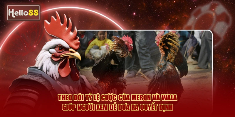 Đá Gà Hello88: Meron, Wala, BDD Là Gì - Giải Thích 2026 3 Theo dõi tỷ lệ cược của Meron và Wala giúp người xem dễ đưa ra quyết định